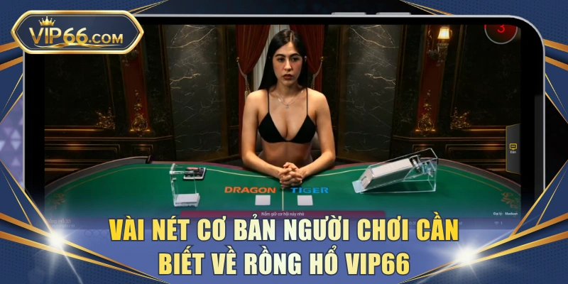 Vài nét cơ bản người chơi cần biết về Rồng Hổ VIP66